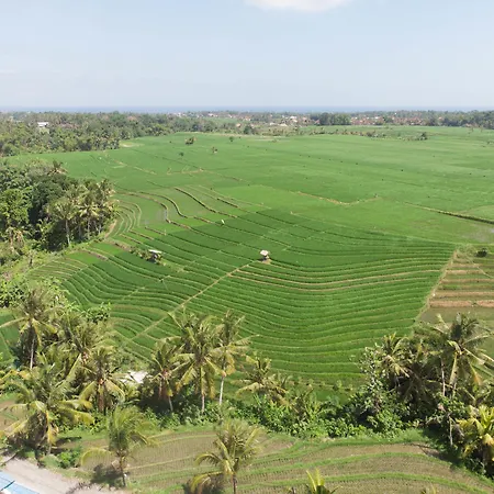 De Moksha Eco Friendly Boutique Resort-3