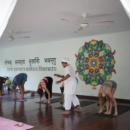 De Moksha Eco Friendly Boutique Resort-3